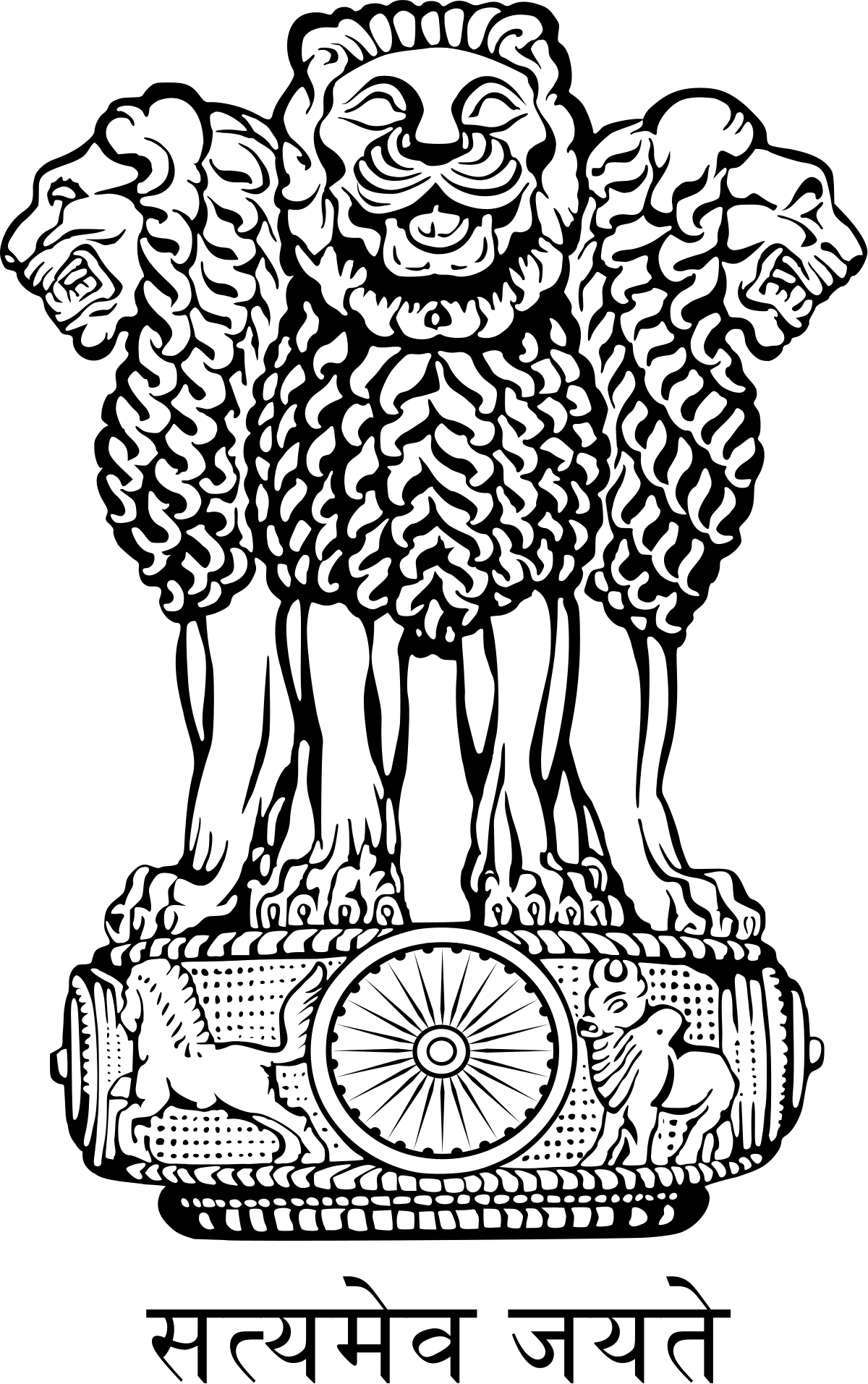 Directorate General of Foreign Trade