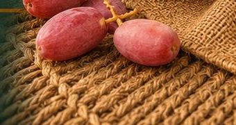 Fresh Kutch dates - 500 gram pack