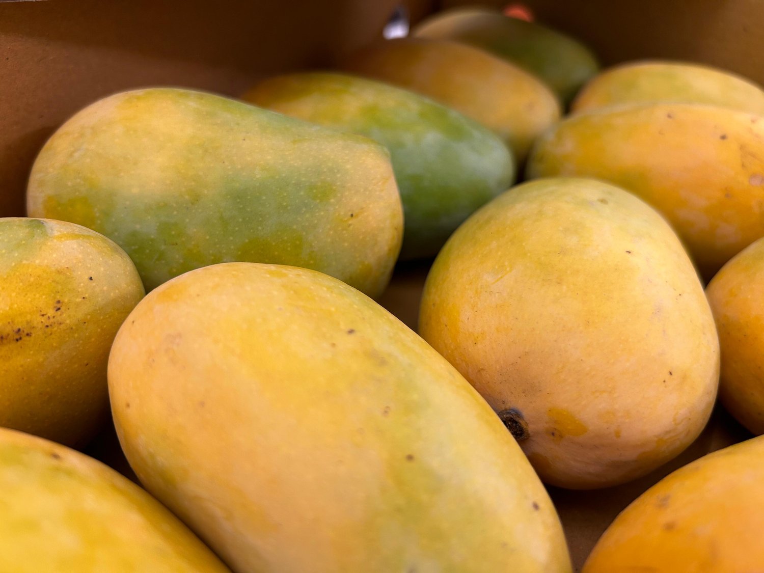 Gir Kesar Mango